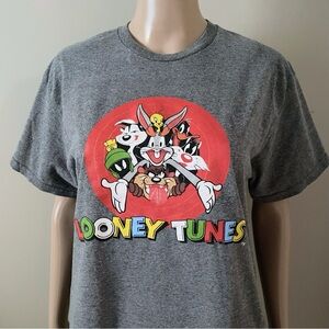 Warner Bros. Looney Tunes Family Gray T-Shirt, men’s medium